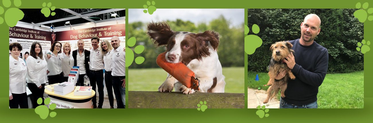 Dog Breeding Training Courses Dog Breeding Training Courses