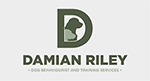 DamianRiley Logo
