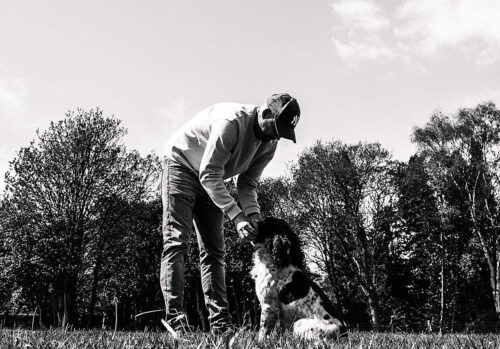 puppy training