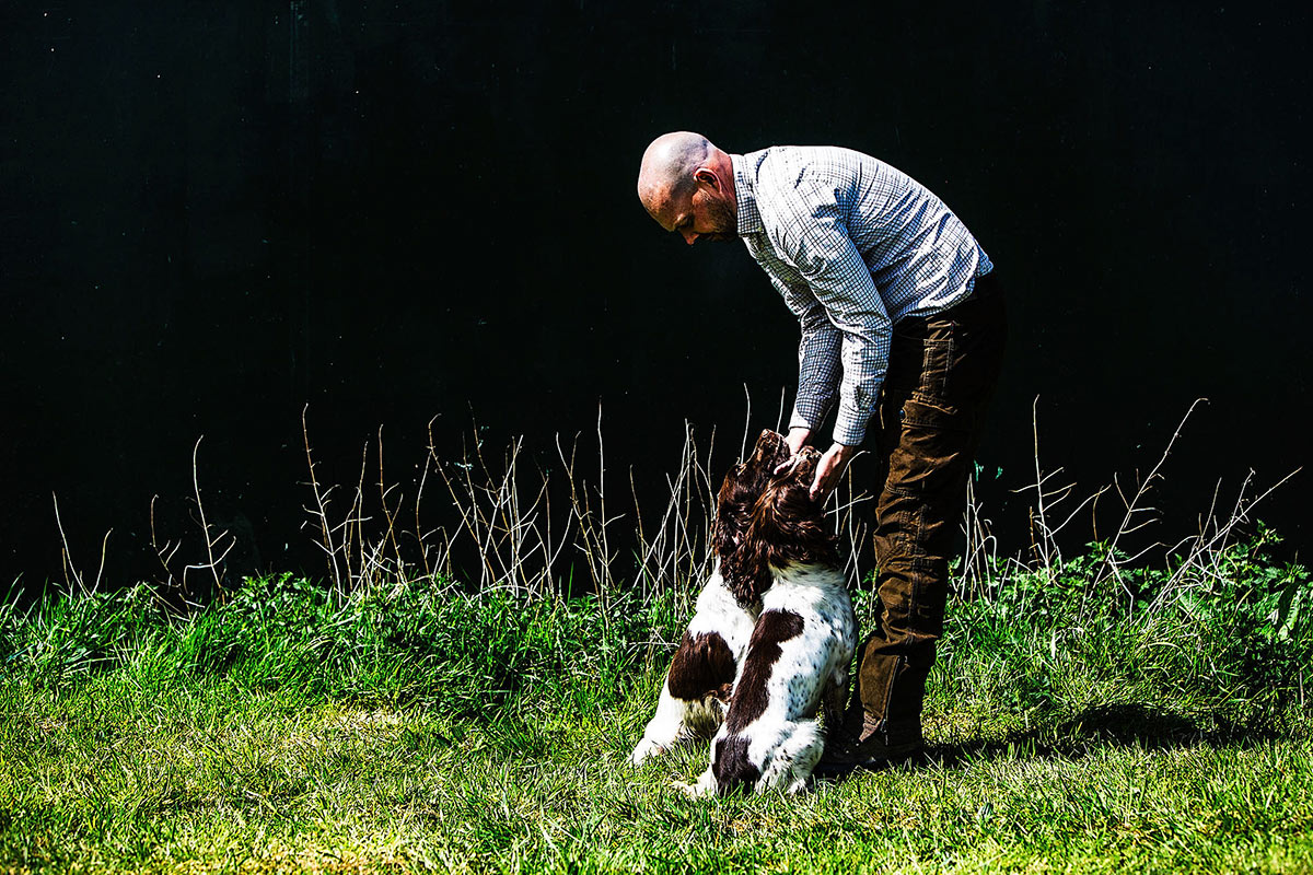 Puppy Training